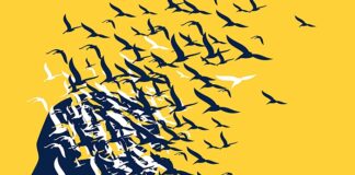 Aspirin possibly has ‘modest effect’ in dementia prevention and cognitive impairment