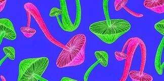 Largest study finds psychedelic ‘highly efficacious’ in serious depression — COMPASS 2b trial