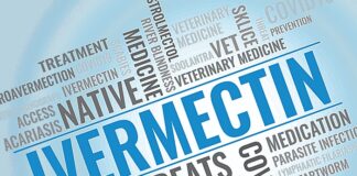 Ivermectin meta-analyses highlighted, again, the dangers of fake data