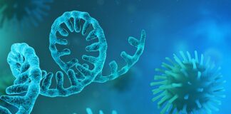 Antarctic find fuels theory of accidental COVID leak from research lab