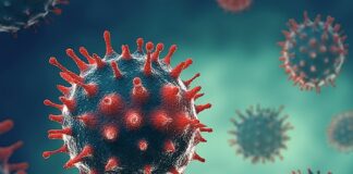 A summation of what is known about Omicron’s BA.2 variant