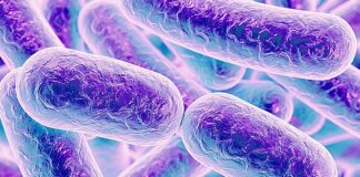 SA teaching hospital cuts CRE superbug transmission with novel UV intervention