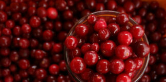 Cranberries could improve memory, fight dementia – British collaborative study