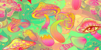 Study shows how psychedelics work on the brain to relieve depression