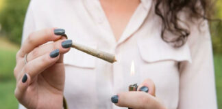 Cannabis use significantly increases risk of ER visits and hospitalisation