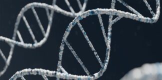 Fourth person cured of HIV, fifth success in the wings: AIDS 2022 conference