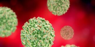 Zoonotic diseases: Sindbis, Langya and monkeypox outbreaks keep scientists on alert