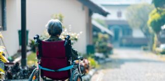 The red flags that led to a massive Alzheimer’s research scandal