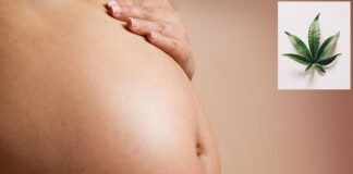 Prenatal cannabis exposure linked to adolescent mental health issues