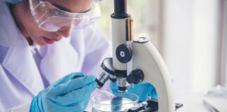 Africa bears the brunt of antimicrobial-resistant bacterial infections