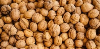 Seven walnuts a day for improved health, reduced CVD risk– US study