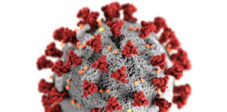 Scientists suggest SARS-CoV-2 has signs of genetic engineering