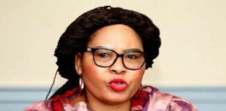 New MEC to tackle multiple crises, but lacks health credentials