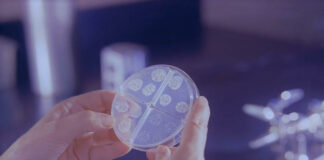 Common bacteria linked to higher mortality in kidney patients – US study