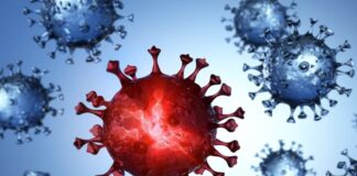 Did Covid 'viral interference' keep common flu away?