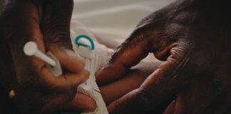 Africa makes inroads in stamping out neglected, tropical diseases