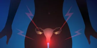 World's first ‘vagina chip’ designed to better understand women's health