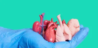 Donor liver protects heart transplant in US dual organ surgery