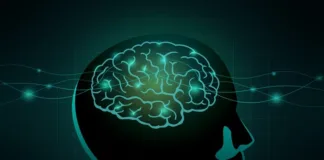 Hope for paralysed, as device translates brain signals to words