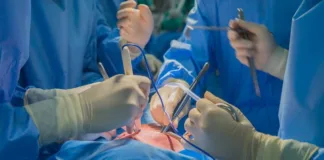 Pig kidney functions in brain-dead man’s body