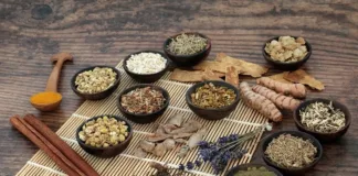 Progress for traditional medicine in disease-fighting arsenal