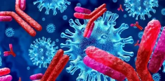 UK girl gets kidney transplant without lifelong drugs