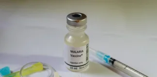 WHO's second malaria vaccine will save millions of lives