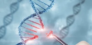 Gene-editing cholesterol trial paves way for groundbreaking treatment