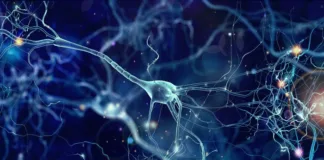 Neurological conditions now the number one cause of disease globally