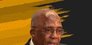 Why Motsoaledi trumped Phaahla to the top heath job